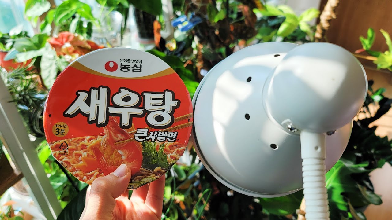이케아 식물등 배불러요.