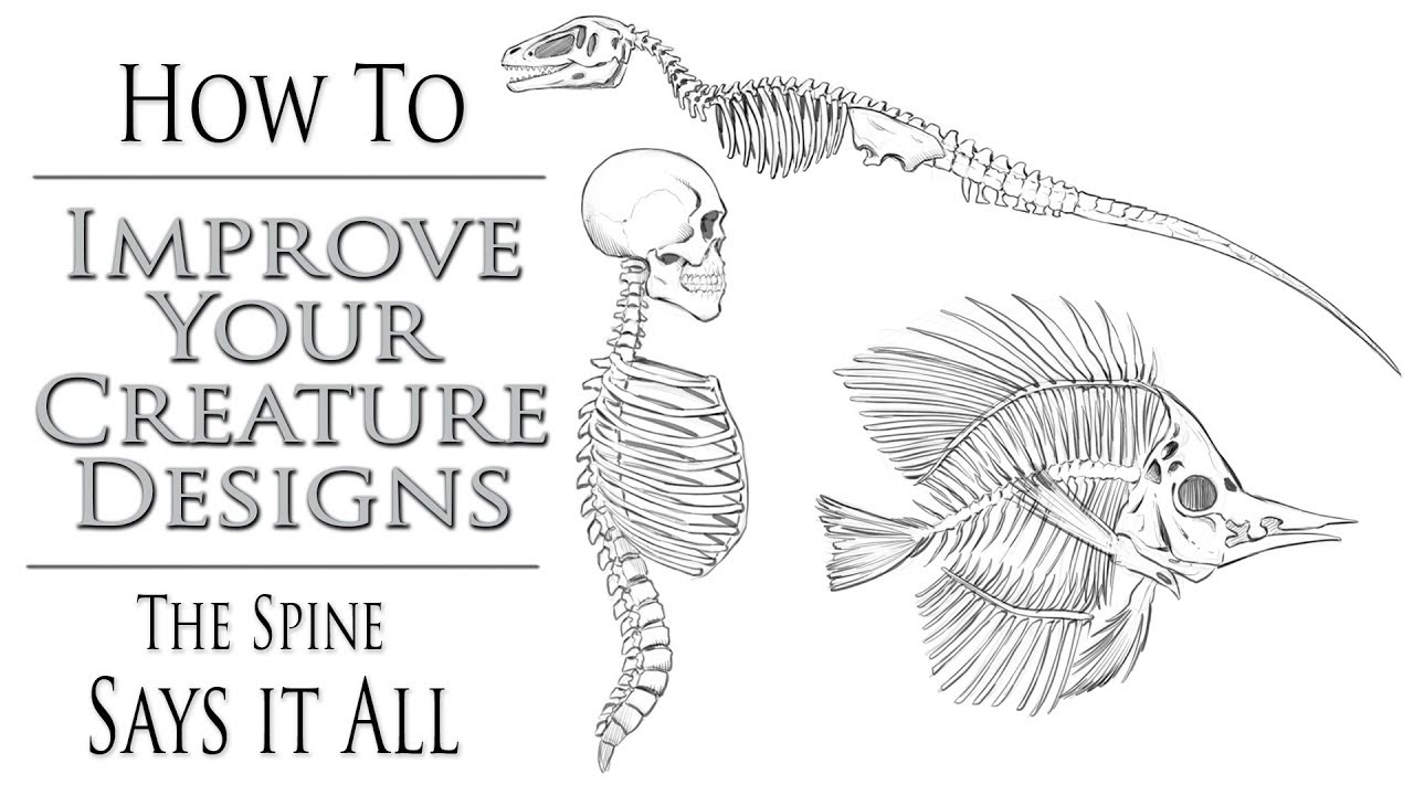 How to Improve Your Creature Designs - Lesson 1 - The Spine Says It All
