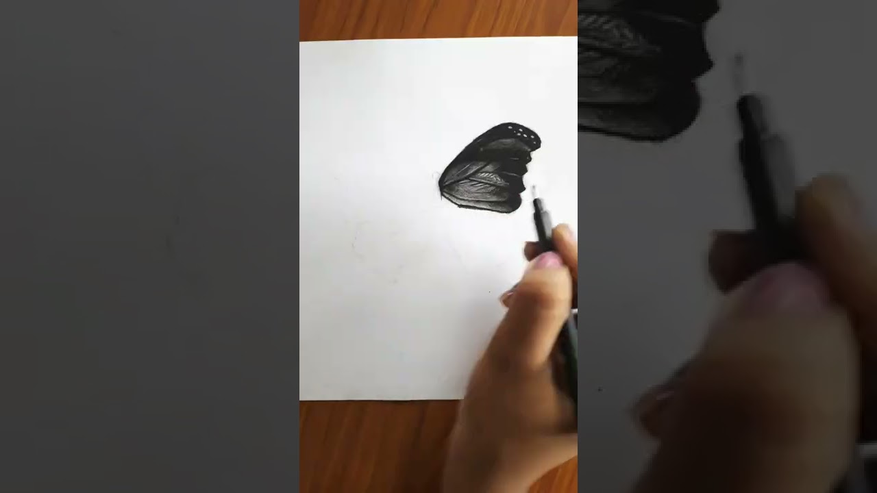 charcoal butterfly drawing #shorts #butterfly #trending #viral #art #artist #youtubeshorts