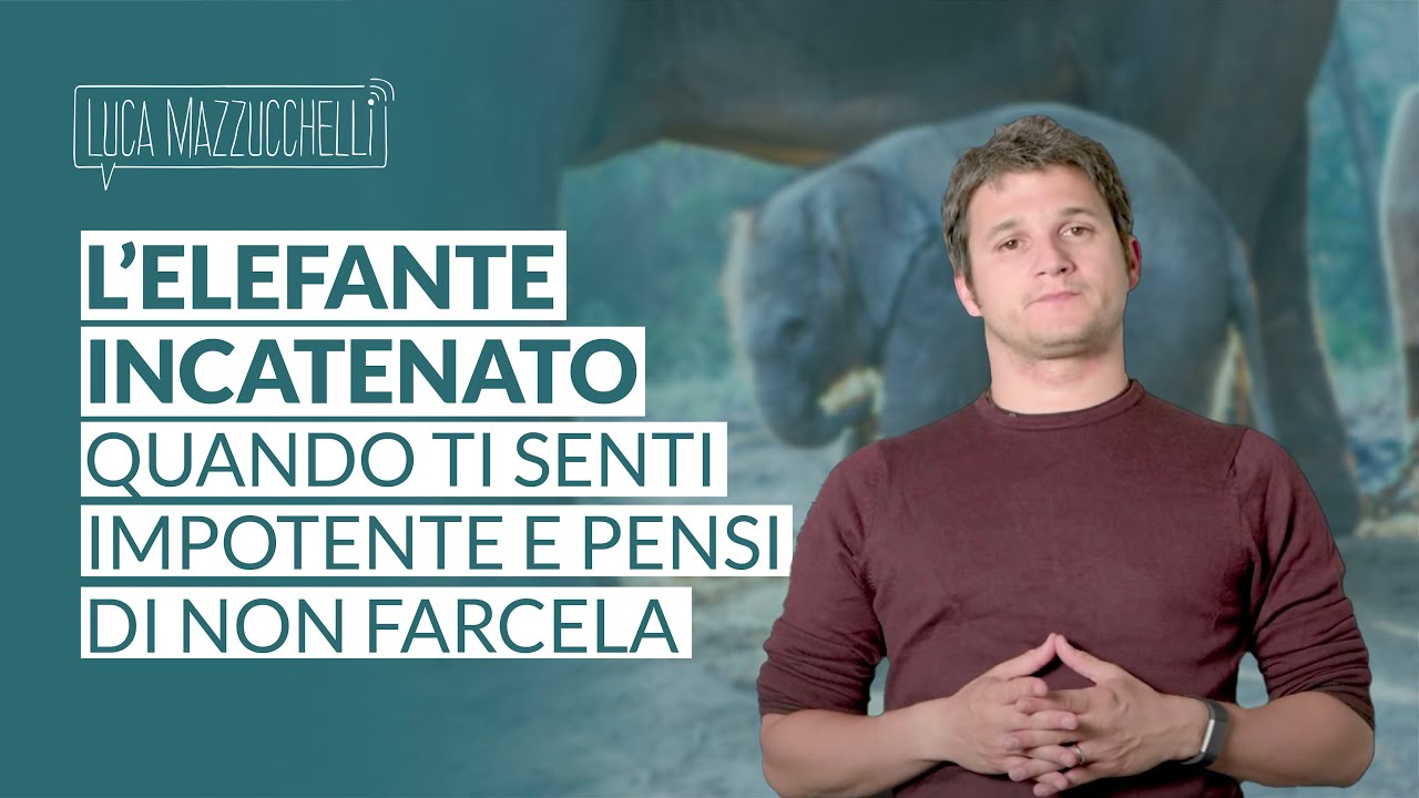 Quando ti senti impotente e sei convinto di non farcela: la storia dell’elefante incatenato