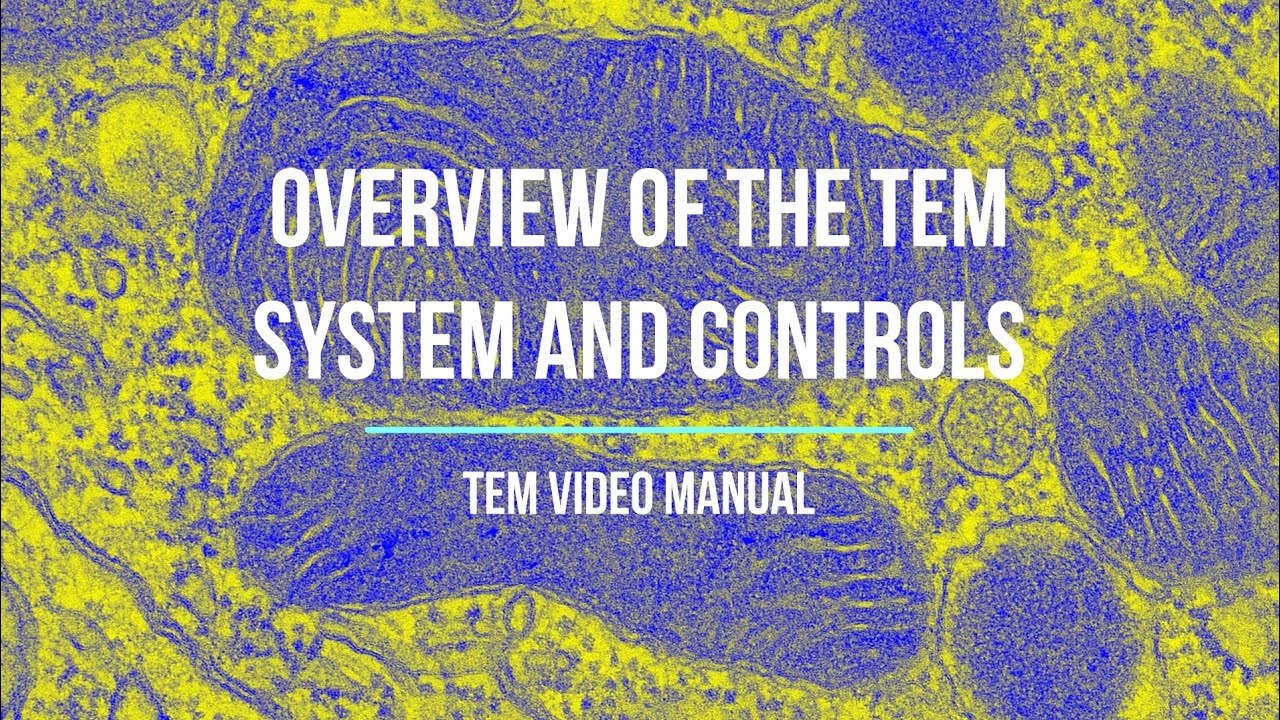 Chapter 1 - TEM Video Manual - Microscope overview and controls