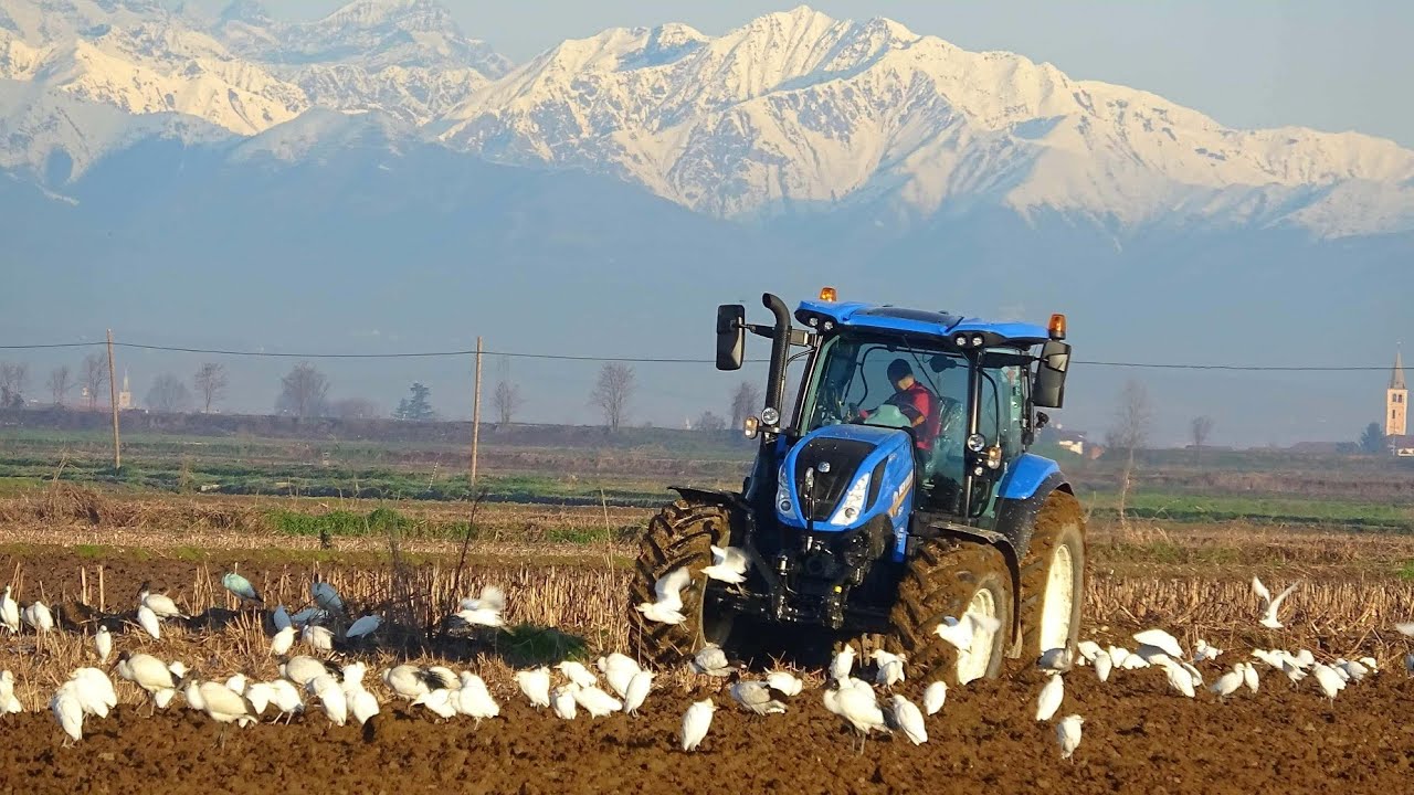 New Holland T6.155 | Vogel & Noot MS1020