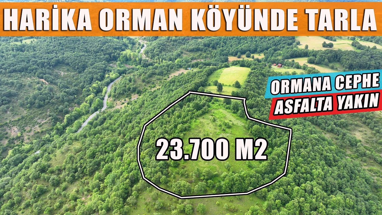 1901-SATILDI!  Gönen Beyoluk: Harika Orman Köyünde 23.700 m2 Asfalta Yakın Ormana Cephe Harika Tarla