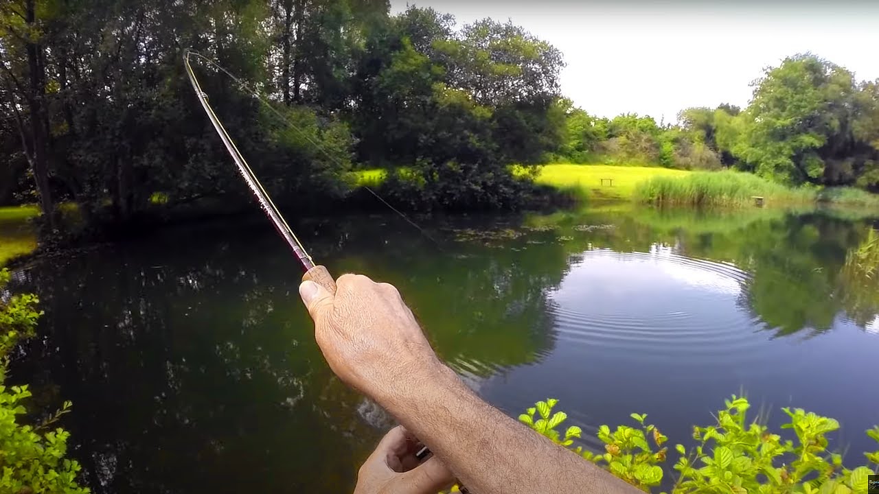 FOUR FLY Fishing Challenge!