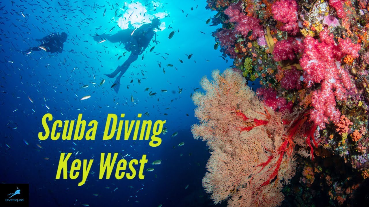 Diving Key West | Vandenberg Wreck | Western Samboo Reef | Cayman Salvager Wreck