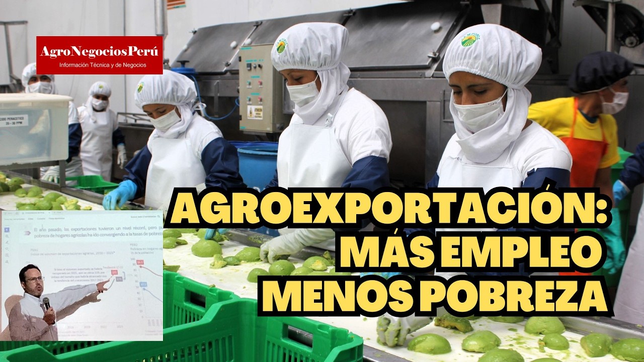 El impacto oculto de las agroexportaciones en la economía peruana: más empleo, menos pobreza