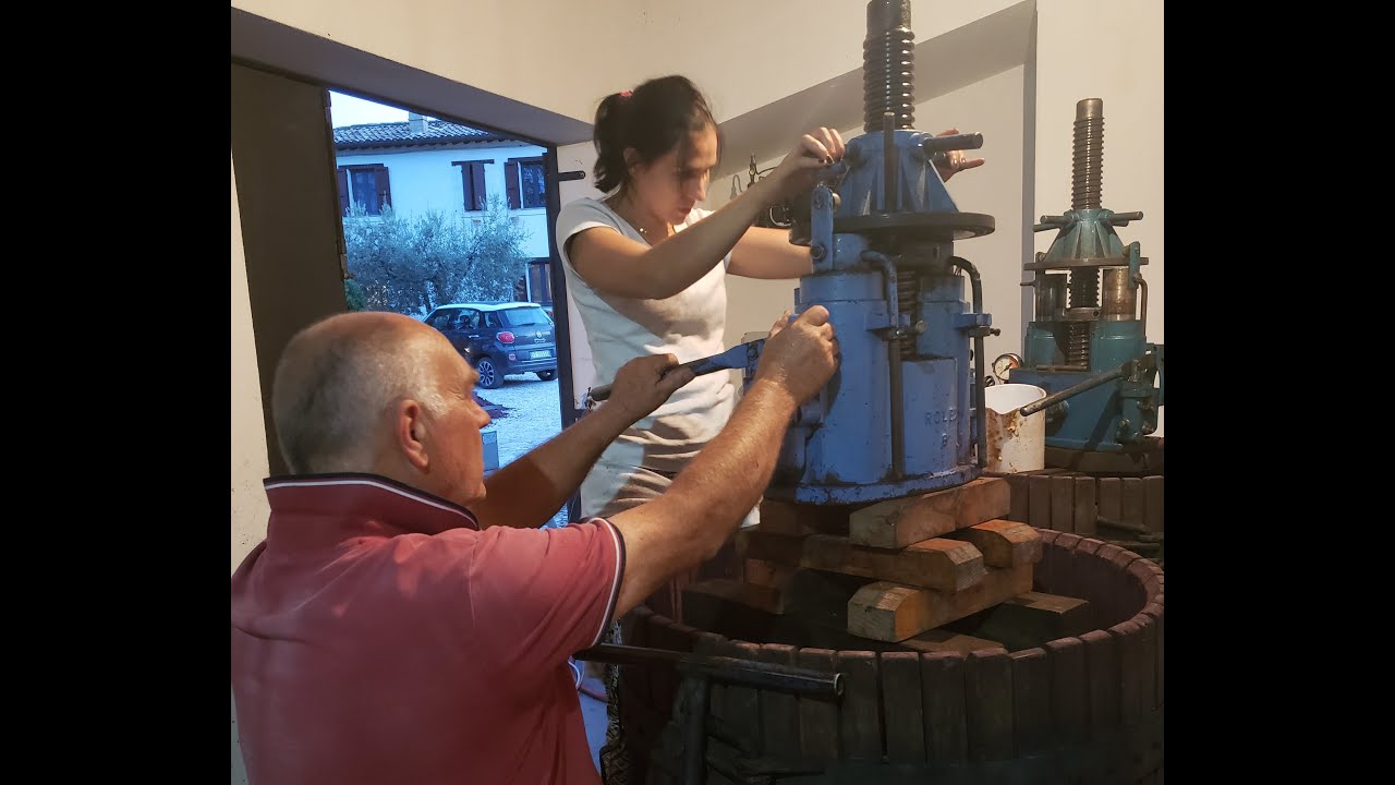 Pressing Grapes and Making Wine at Collecapretta