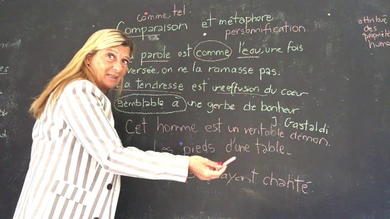 Comparaison/ Métaphore/ Personnification. Bac français2024 - @momaschool
