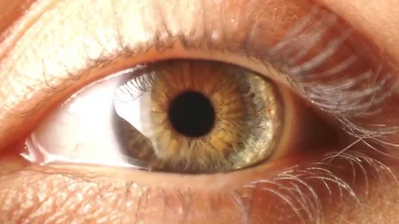 Modtech Global Brand Video