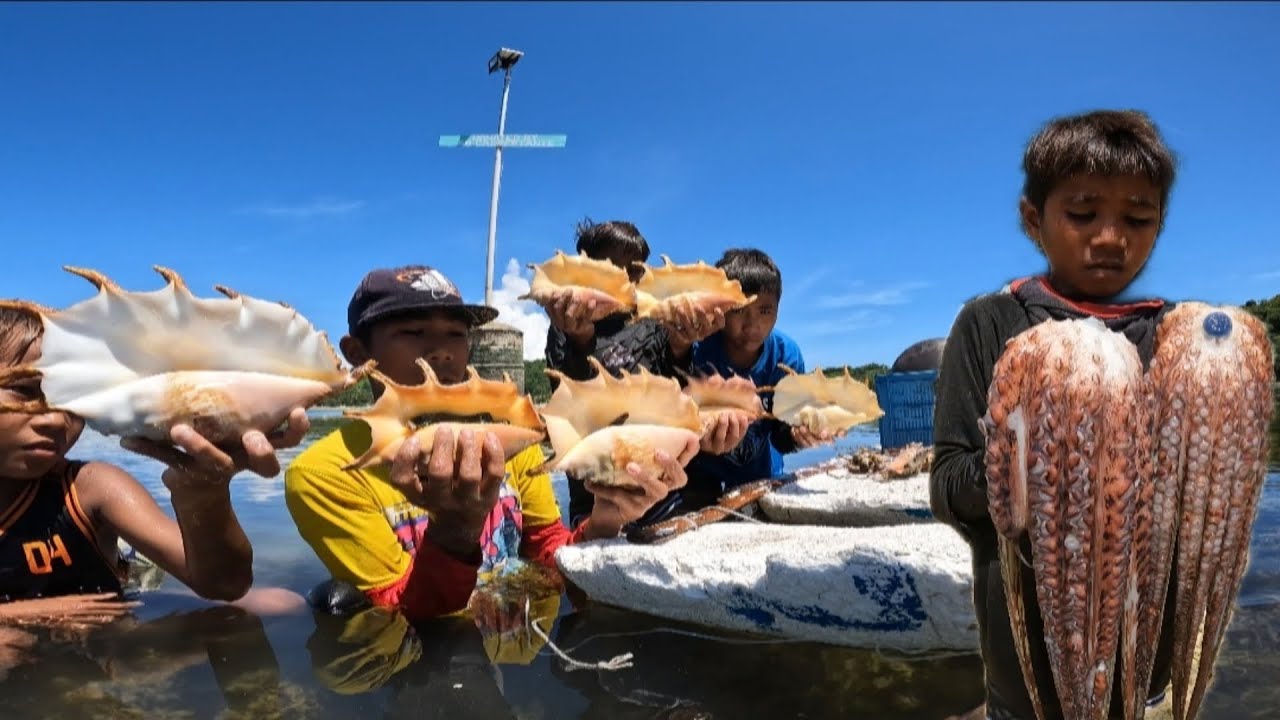 Giant Saang or Spider shells and Octopus Catch & Cook