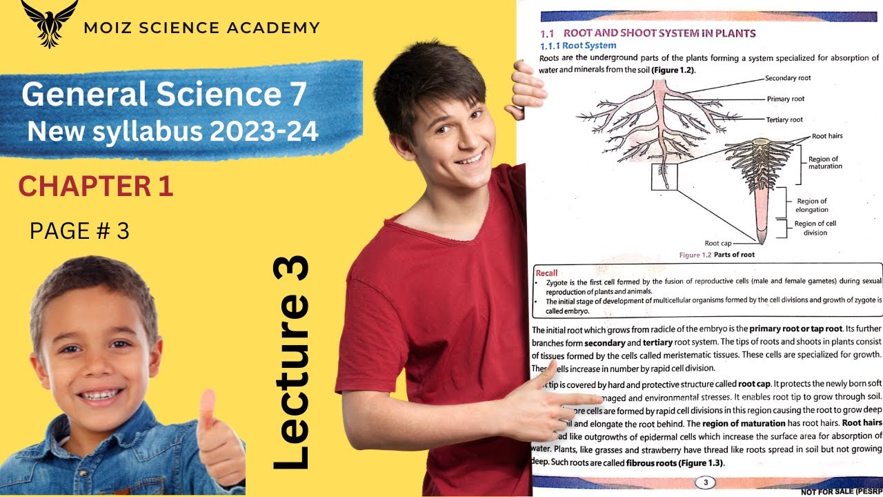 Root system in plants / Class 7 science book unit 1, page 3