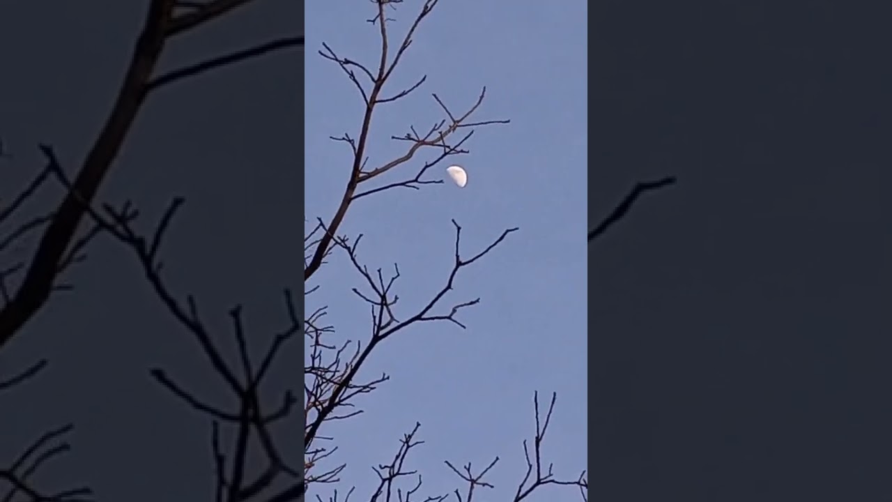 the sun casting a shadow of the earth onto the moon
