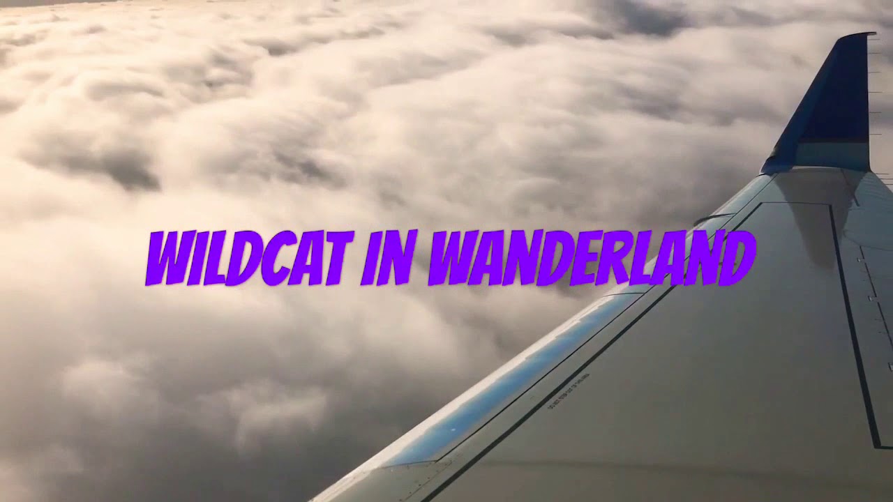 STUDY ABROAD VLOG | Settling into Liverpool!
