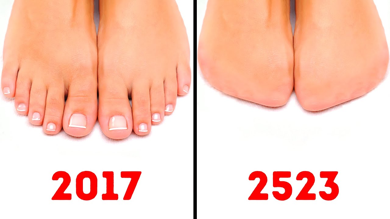 Bir Gün Kaybolacak 15 Organımız