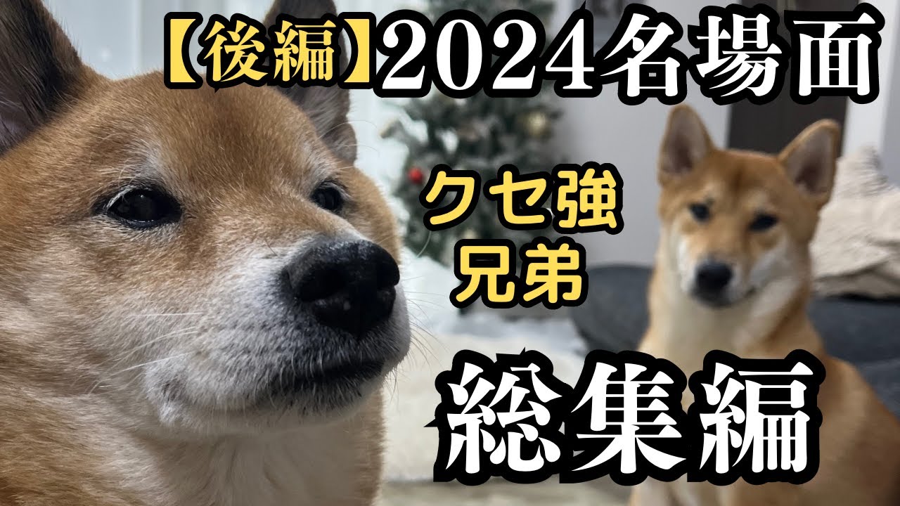 【拒否柴】お風呂大魔王・怪人センセー・お散歩怪人、全員集合の癖まみれ過ぎる１時間