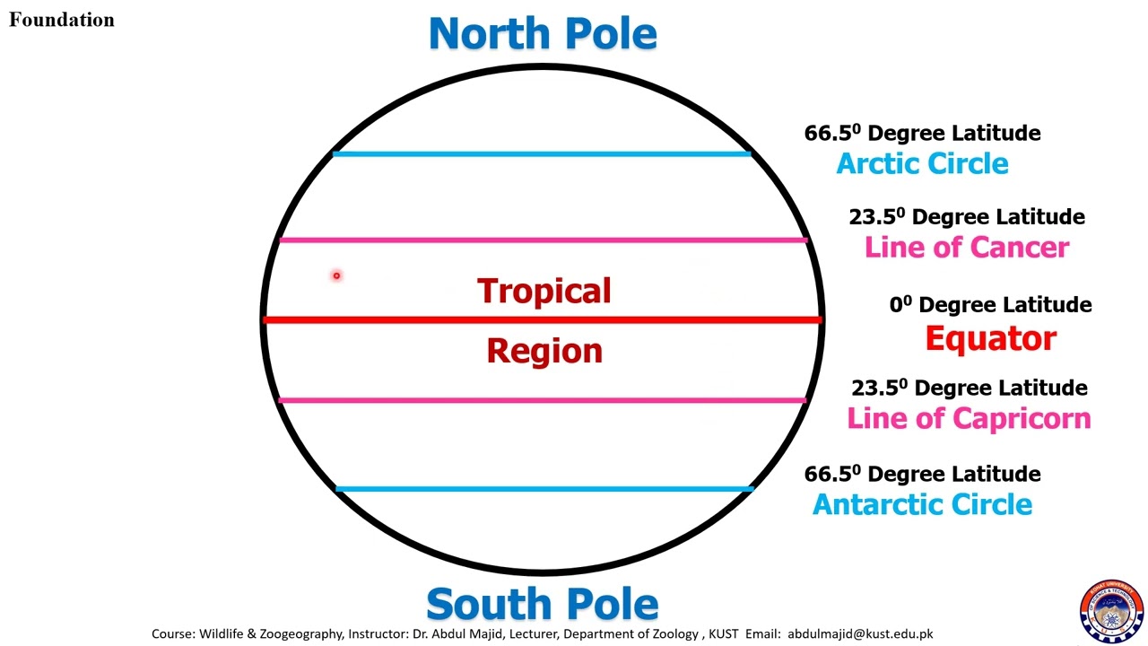 Climate Zones: Tropical, Temperate, & Polar Regions