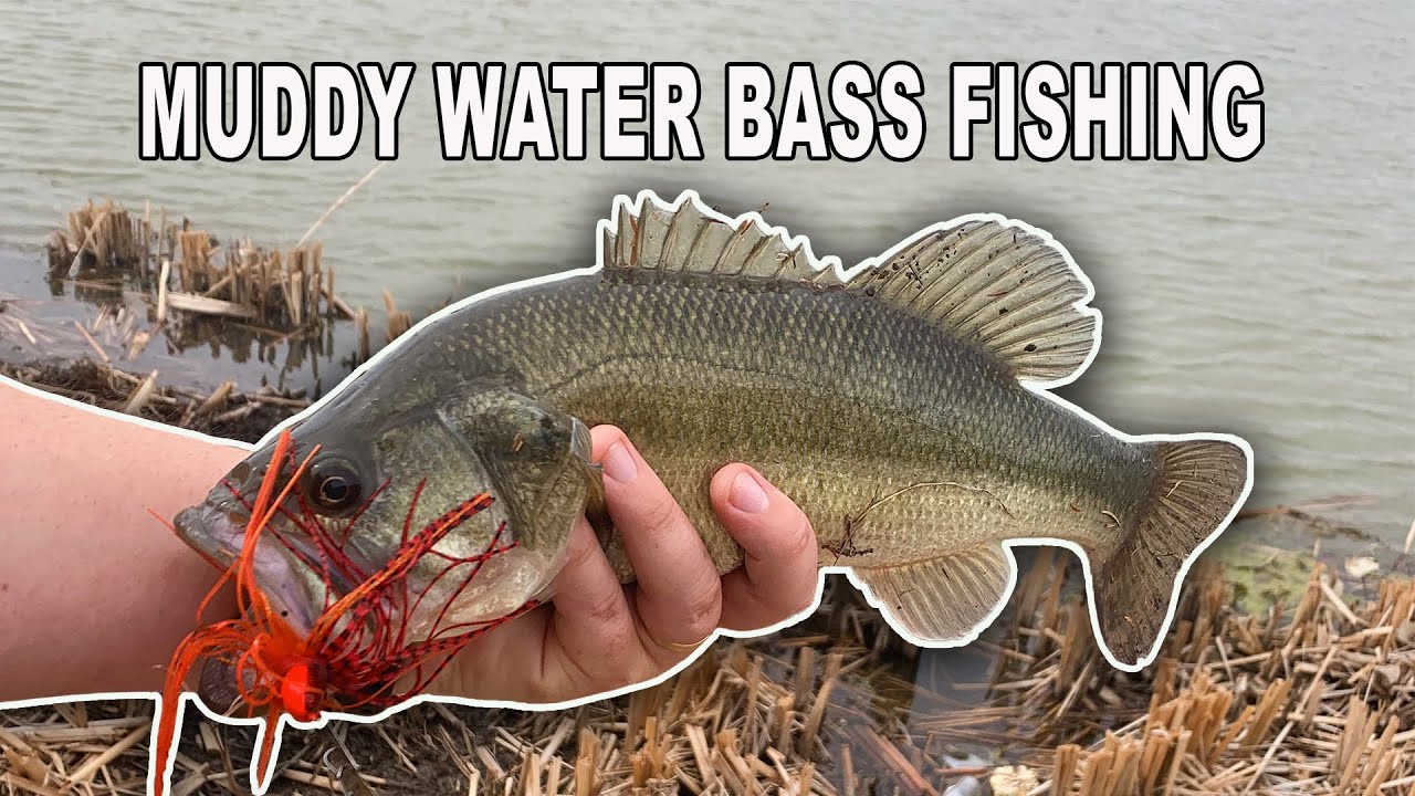 Fishing a Muddy Pond for Late Winter Bass