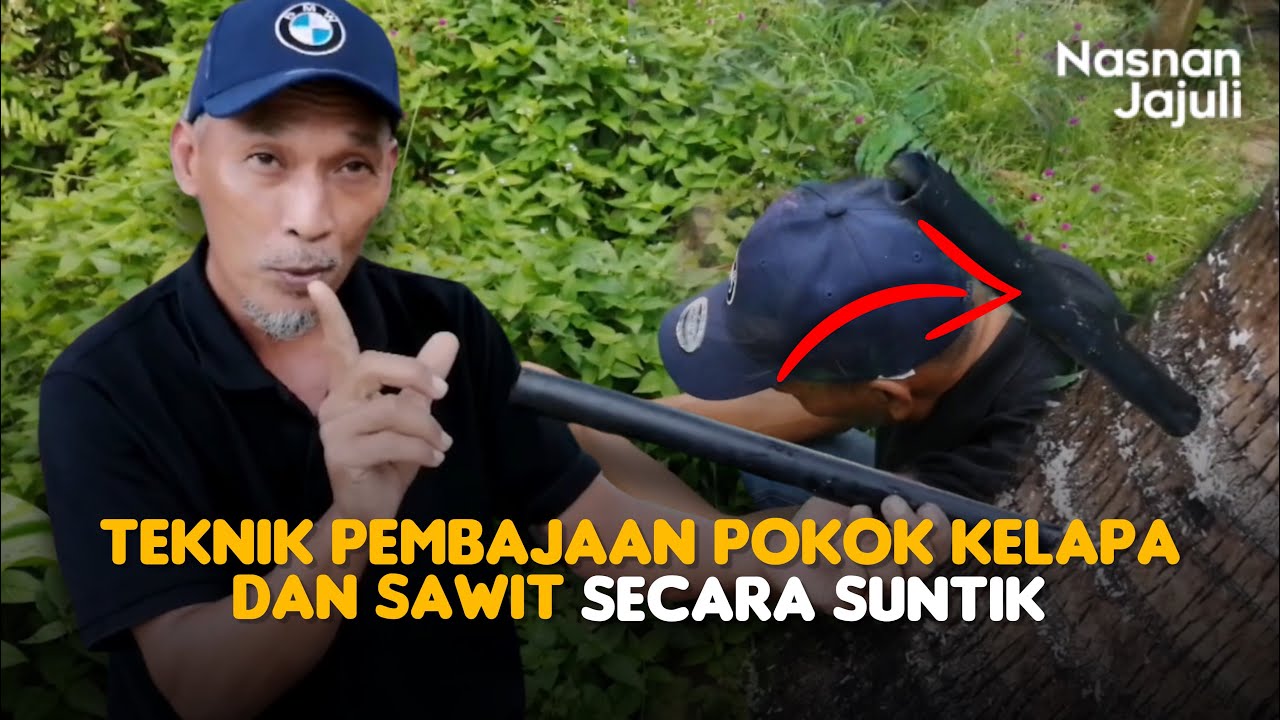 Teknik Pembajaan Pokok Kelapa Dan Sawit Secara Suntik