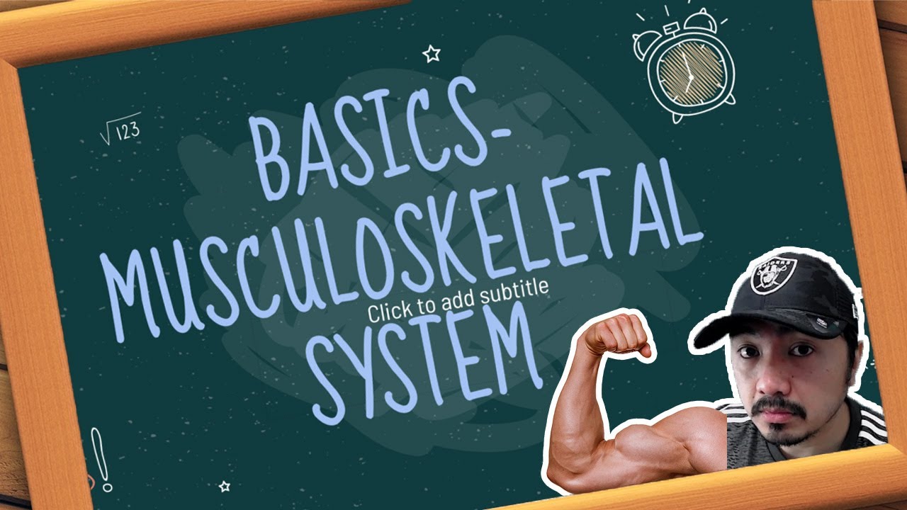 MUSCULOSKELETAL SYSTEM | Basics