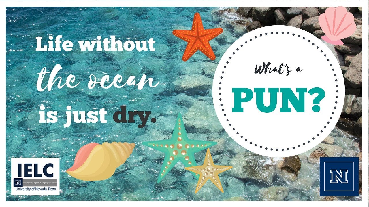 What is a pun? | Play on Words in English