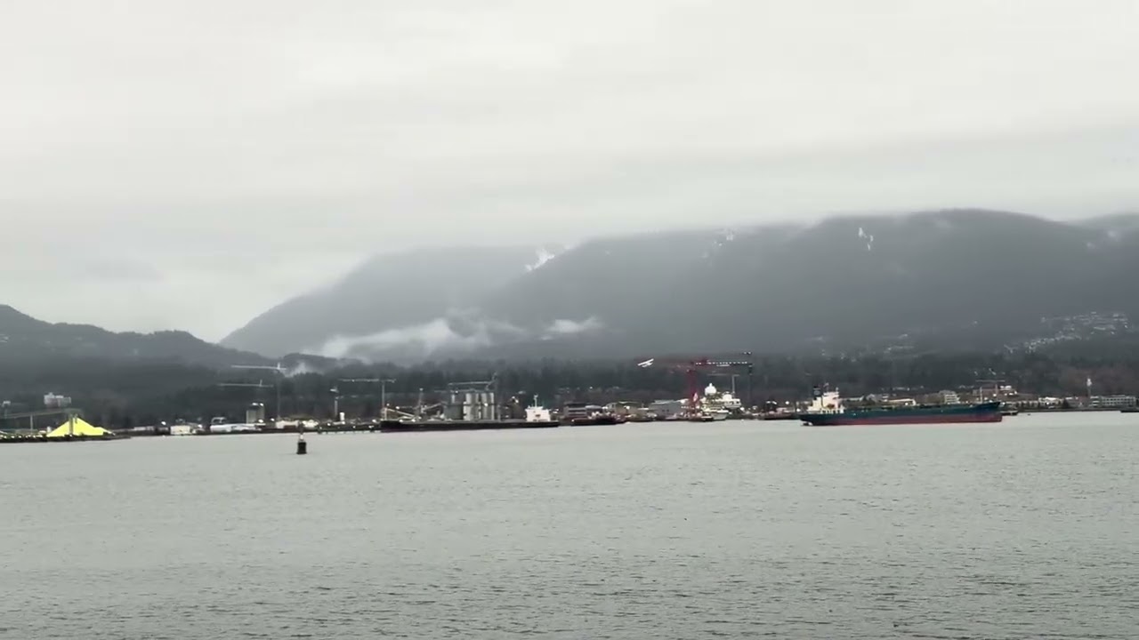 My 11th of January 2026 in Metro Vancouver British Columbia Canada
