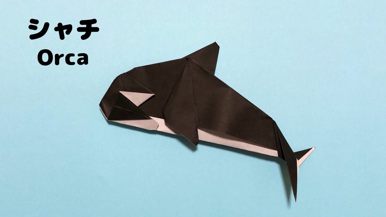 【折り紙 海の生き物】かっこいい シャチの折り方 Origami Orca