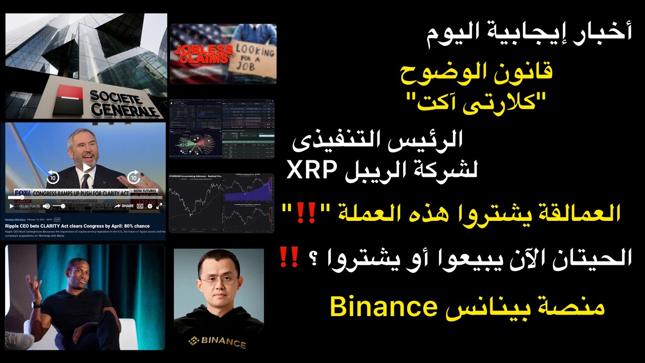 اخبار ايجابية و رئيس شركة ريبل XRP والعمالقة يشترون هذه العملة هل الحيتان تبيع الان و منصة بينانس