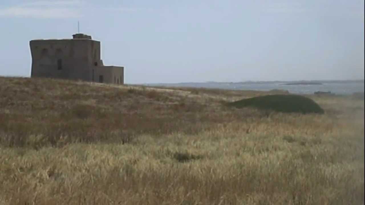 Parco Nazionale Marino di Torre Guaceto ( Ostuni, Puglia)