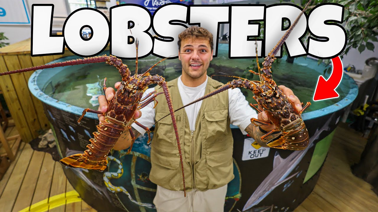 Buying 2 SPINY LOBSTERS for My SALTWATER POND!! (seafood market)
