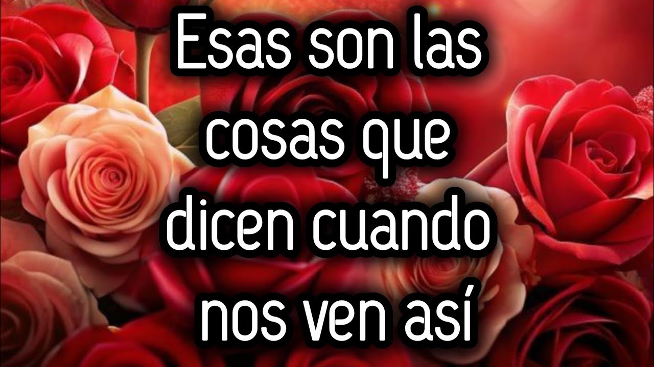Esas son las cosas que dicen cuando nos ven así