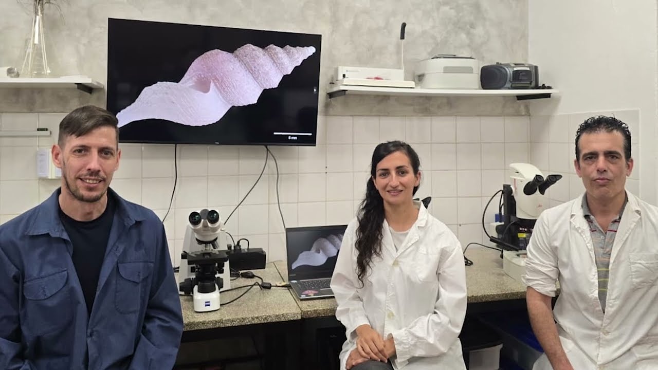 DE DEPREDADORES INVISIBLES A ALIADOS DE LA CIENCIA: LOS CARACOLES DE LA SUPERFAMILIA CONOIDEA