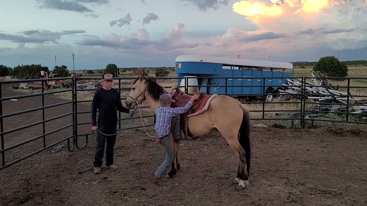 Johny’s Project Horse Bucky's first ride
