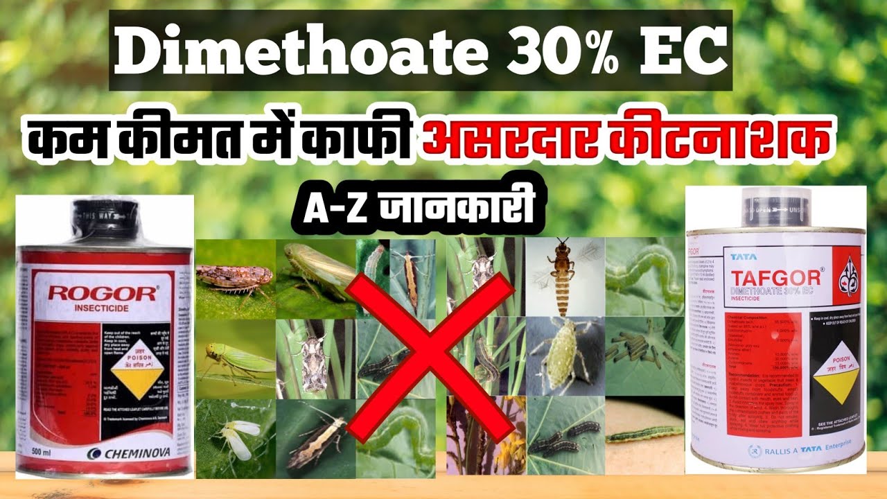 Rogor/Tafgor(Dimethoate 30 EC) Insecticide Se Kya Kya Fayde hai?