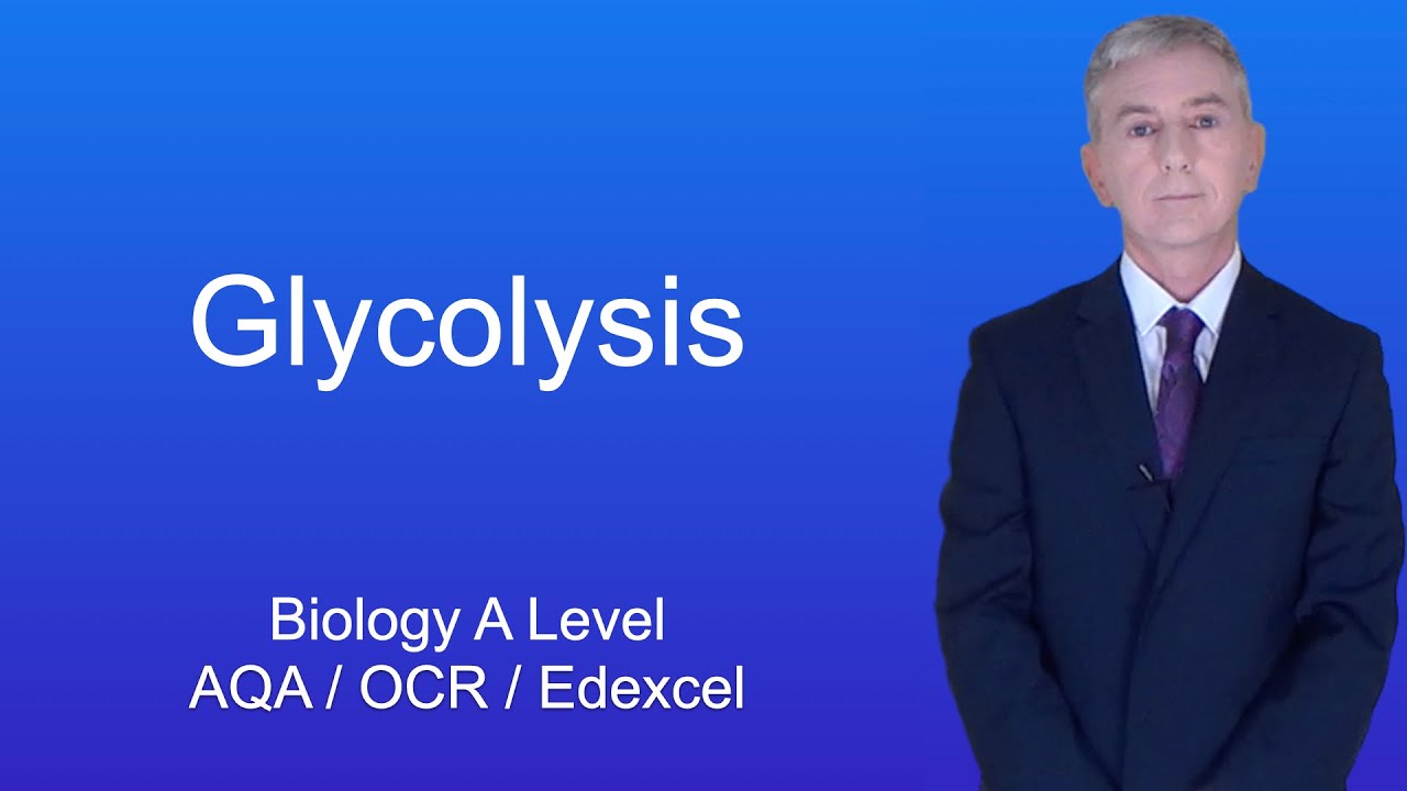 A Level Biology Revision 