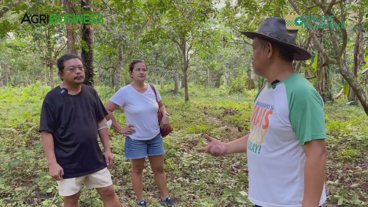 RAMBUTAN FARM TOUR: ADVANTAGE of RX3 Variety