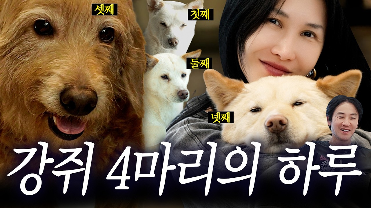 하루종일 꼬순내 폭발하는 강아지 가족 하루 🐶 (+강아지 사료 , 산책 , 오늘은 봉구와 보리만 보면 되는 반려견 힐링 영상)