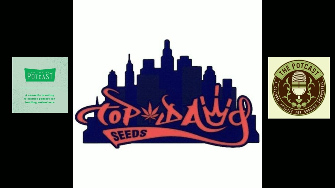 Episode 58 ft JJNYC of Top Dawg Seeds - 26/8/21 - The Pot Cast