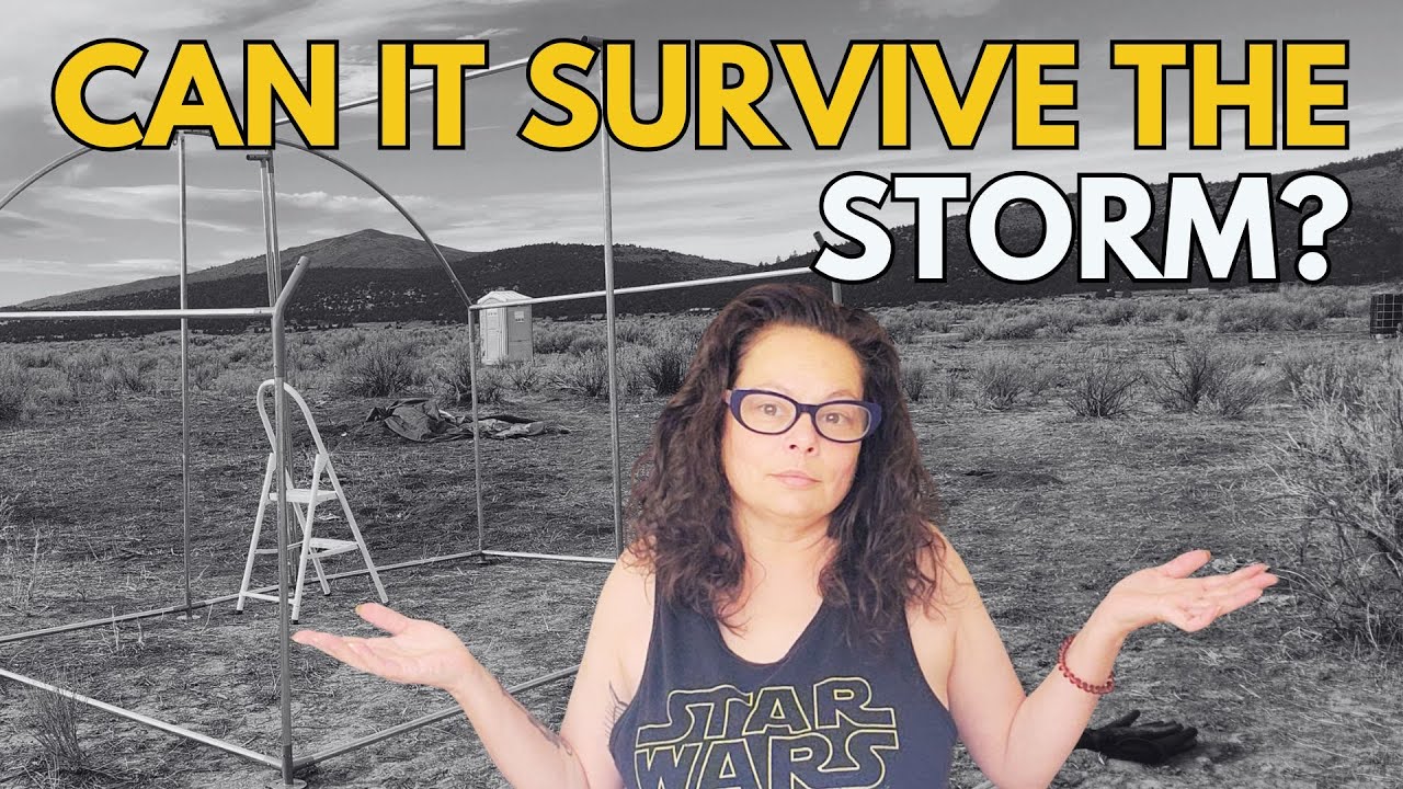 Строительство собачьей будки: выдержит ли она сильные ветры пустыни?