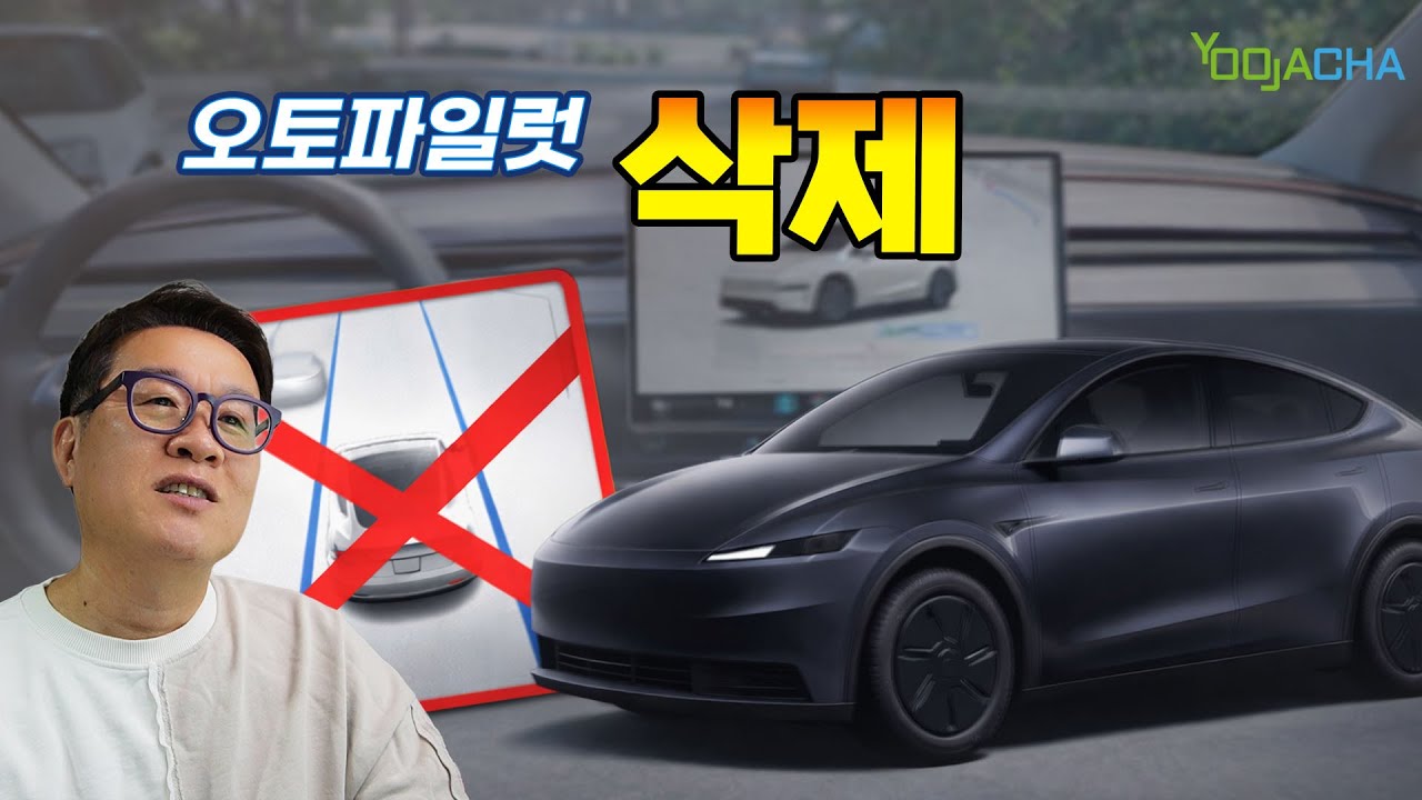 오토파일럿 없앤다 모델3, 모델Y스탠다드 ... 이게 무슨 날벼락