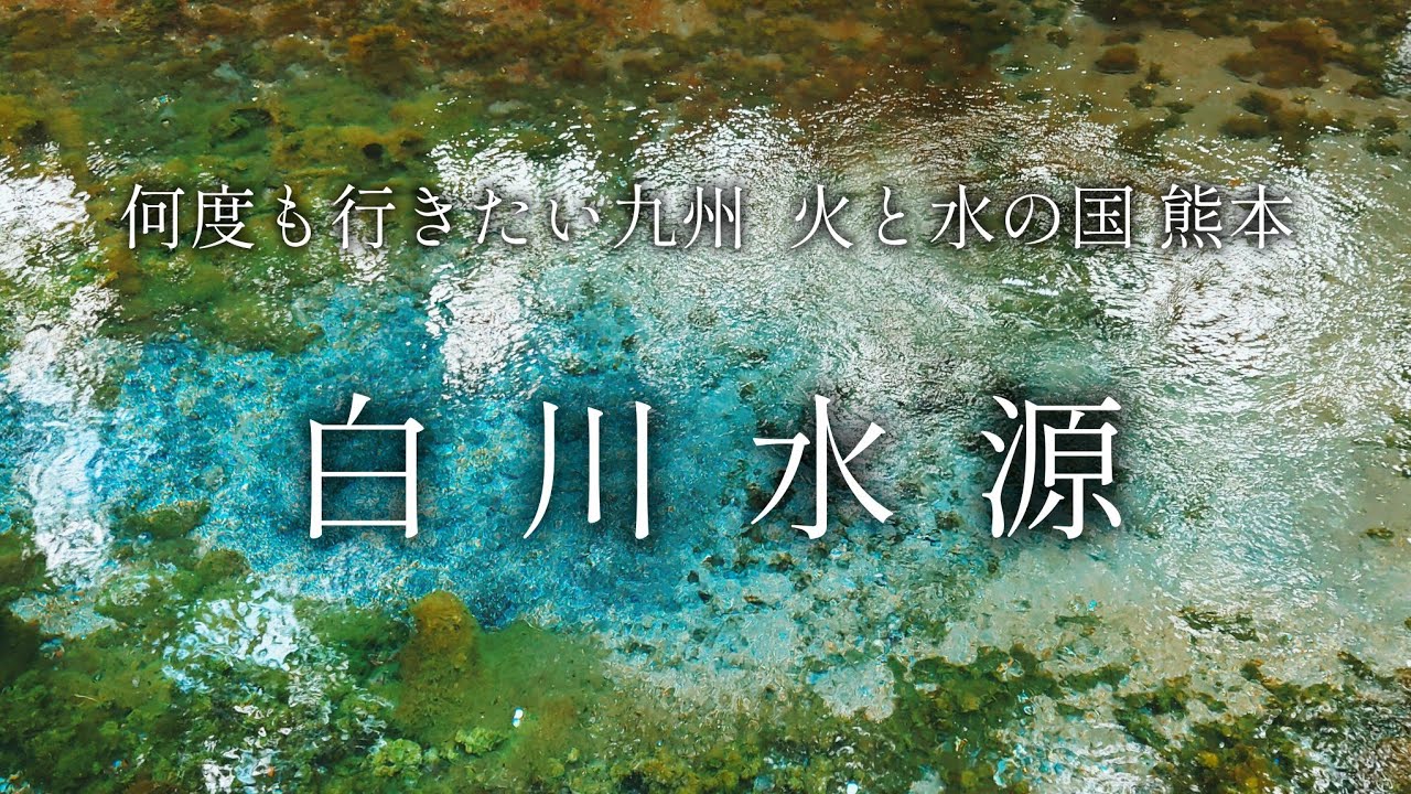 【熊本 阿蘇】毎分60tの大自然の恵み「白川水源」【二人旅】何度も行きたい九州の旅