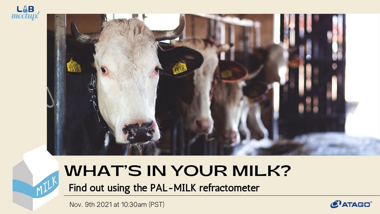 What's in your milk? Find out using the PAL-MILK refractometer