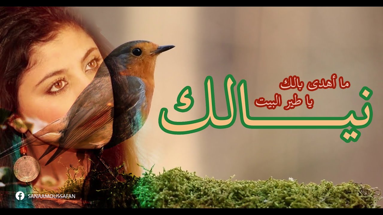 نيالك ما أهدى باالك .. ياطير البيت | سناء موسى بأسلوب جديد❤️