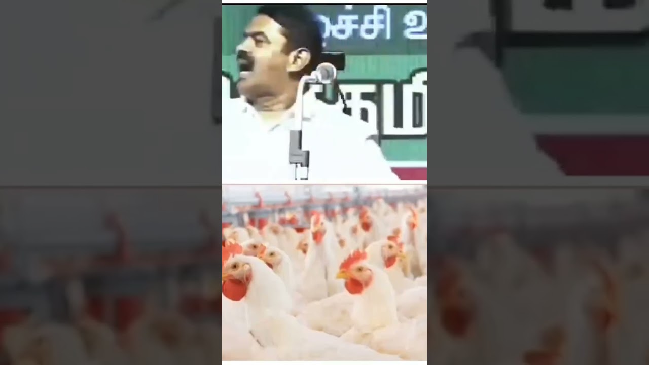 Seeman emotional speech #seeman #seemanspeech #ntk #trending #politics #viral #tamil #status