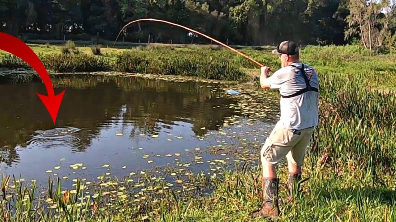 Catch BIG BLUEGILL On a River With a Cane Pole Using This SETUP!!!