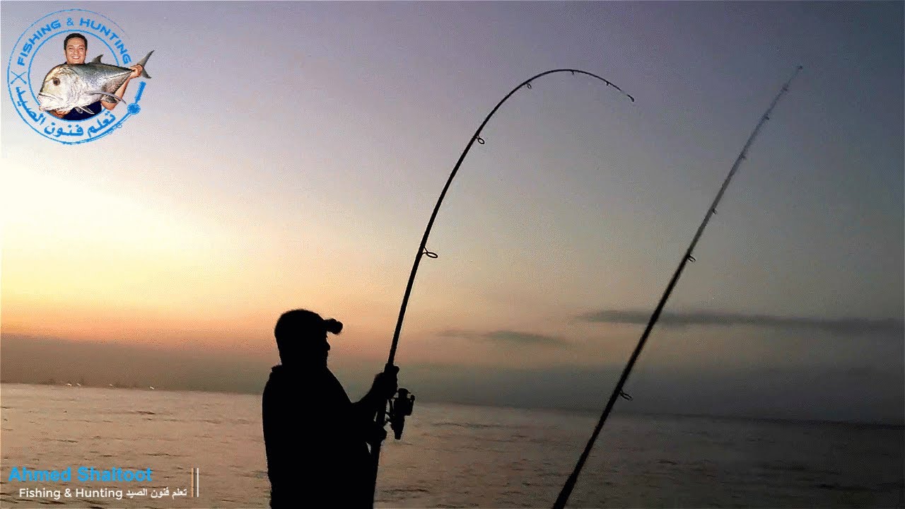 عندما تكون السمكة اقوى من الصياد