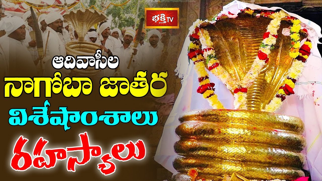 ఆదివాసీల సంబరం - 