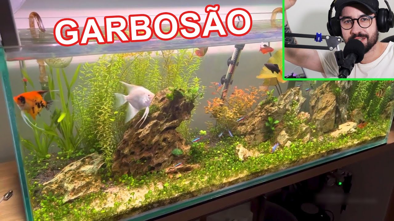 AQUÁRIO PLANTADO COM CO2, COM ACARA BANDEIRA, LABEO, CASCUDO e mais!