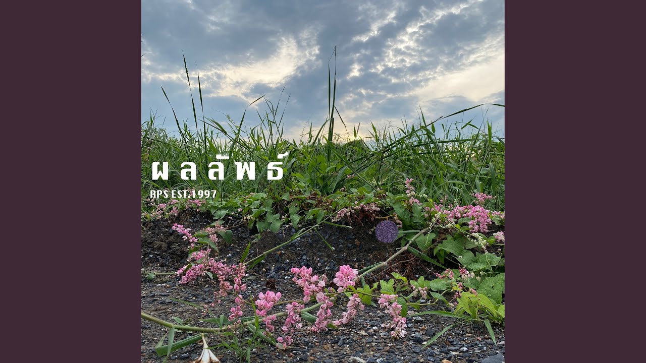 ผลลัพธ์