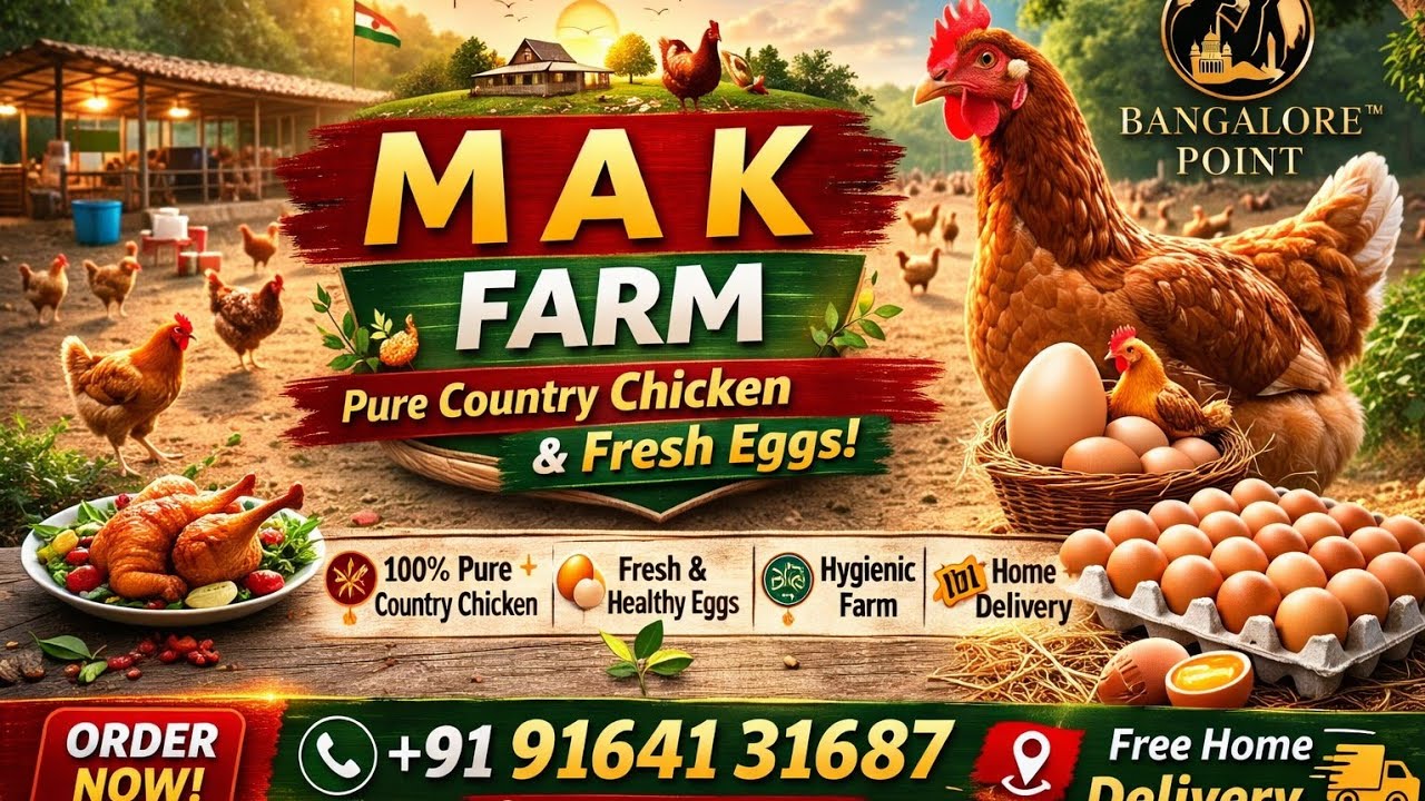 Nati chicken   contact on -9164131687 #chicken #farming #bangalore #viralvideo 