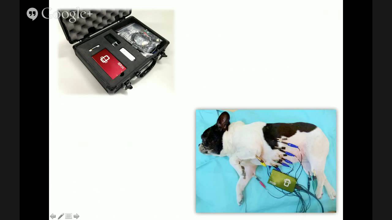 Uso de ECG Veterinário de 12 Derivações